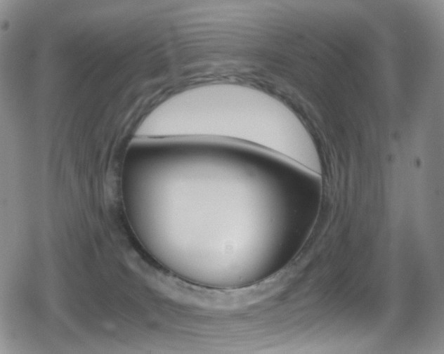 X0000080730035200612150914