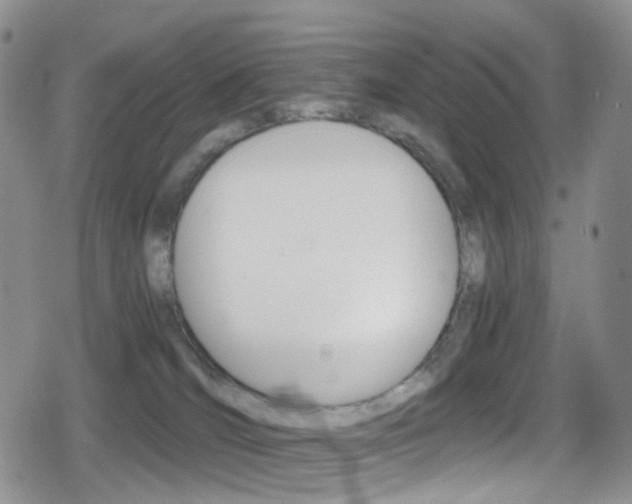 X0000080730036200612150914