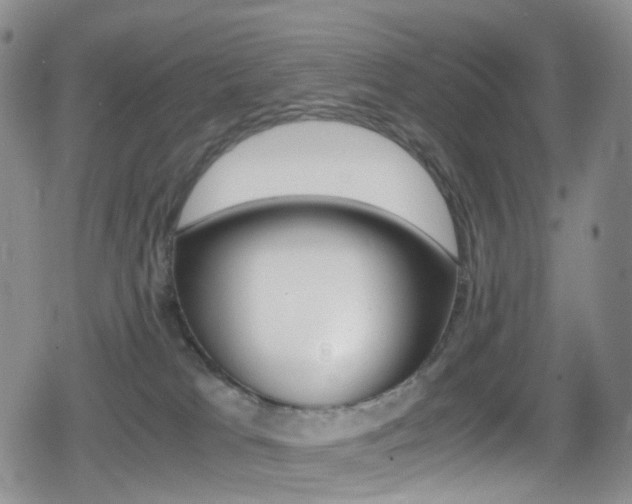 X0000080730037200612150914