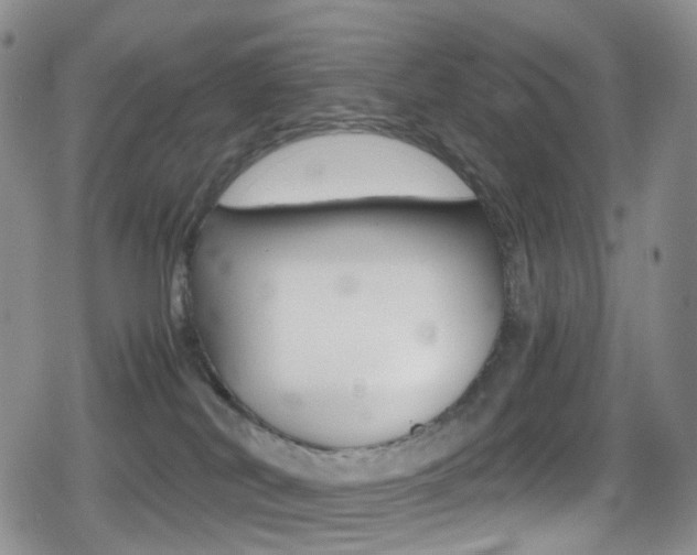 X0000080730038200612150914