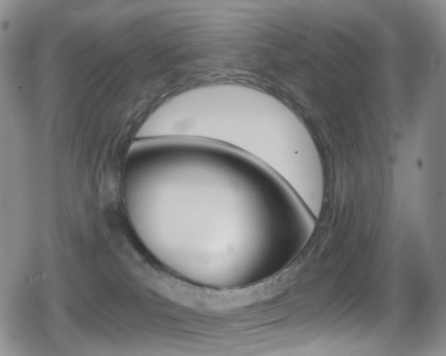 X0000080730039200612150914