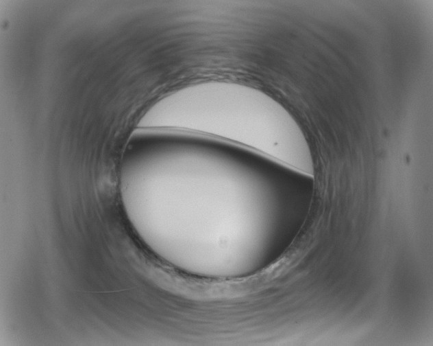 X0000080730040200612150914