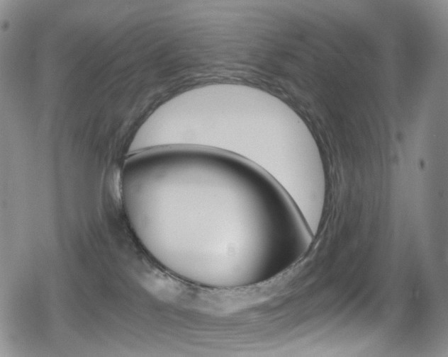 X0000080730041200612150914