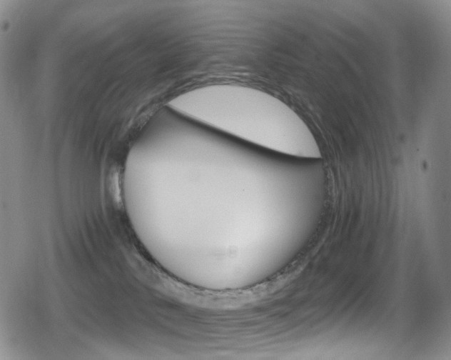 X0000080730042200612150914