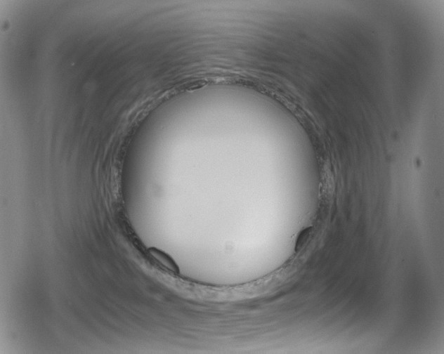 X0000080730043200612150914