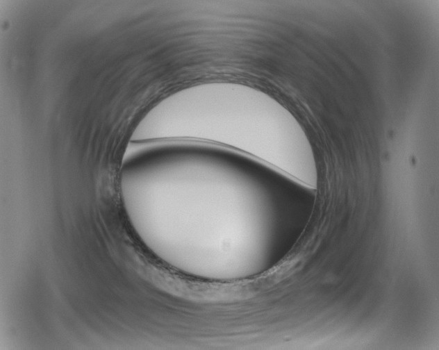 X0000080730044200612150914