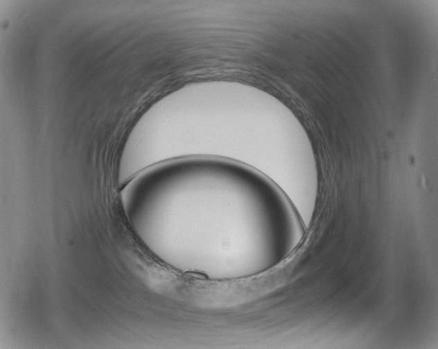 X0000080730045200612150914