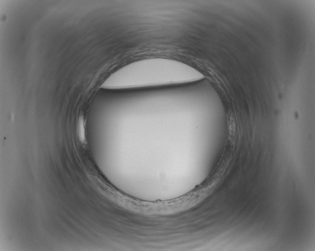 X0000080730046200612150914