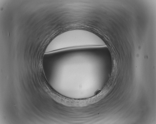 X0000080730048200612150914