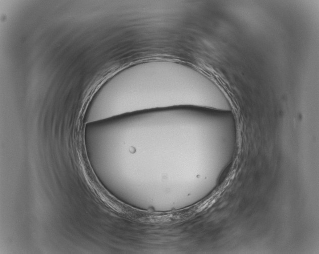 X0000080730049200612150913