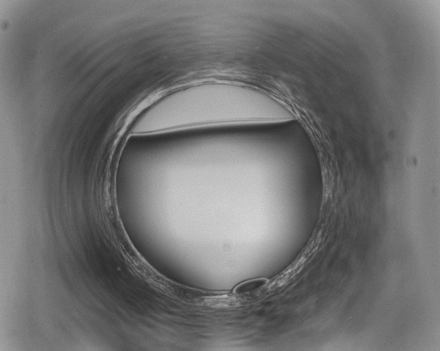 X0000080730050200612150913