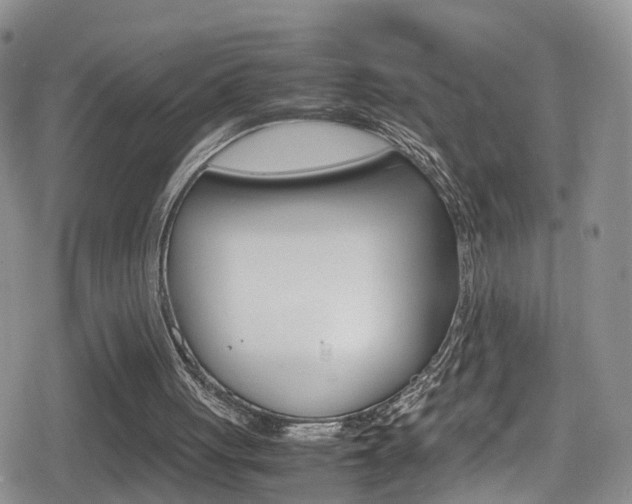 X0000080730051200612150913