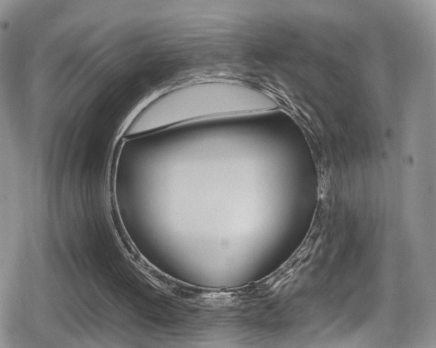 X0000080730052200612150913