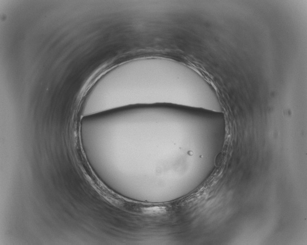 X0000080730053200612150913