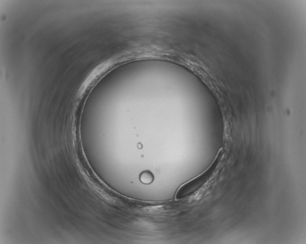 X0000080730054200612150913