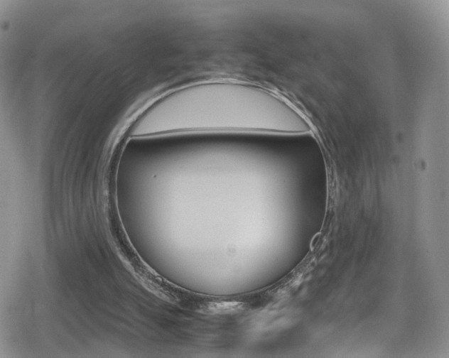 X0000080730055200612150913