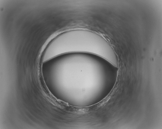 X0000080730056200612150913