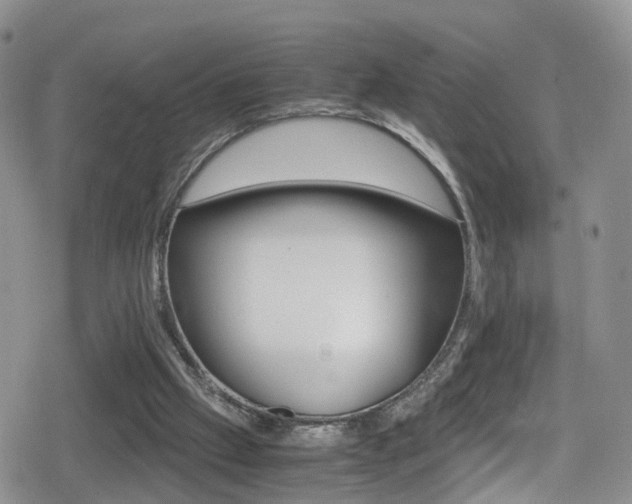 X0000080730057200612150913