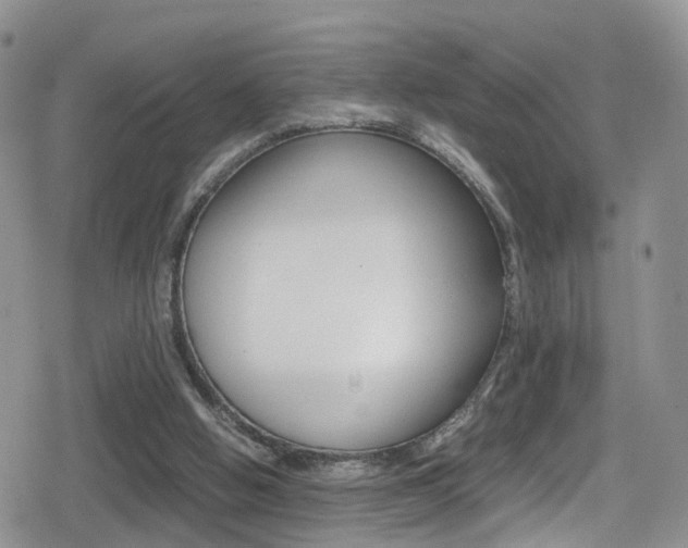 X0000080730058200612150913