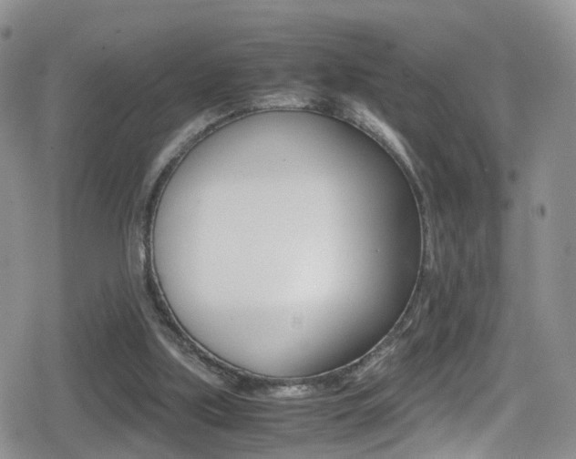 X0000080730059200612150913