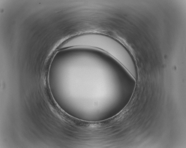 X0000080730060200612150913