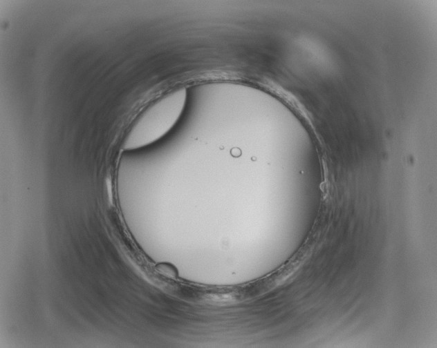 X0000080730061200612150913