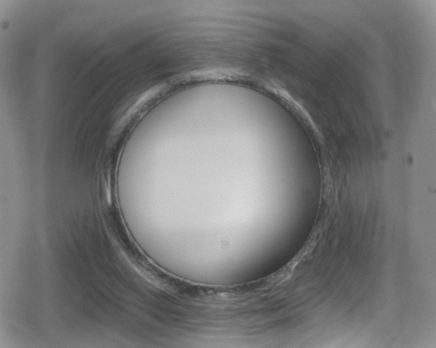 X0000080730062200612150913