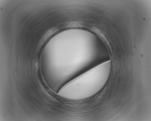 X0000080730063200612150913