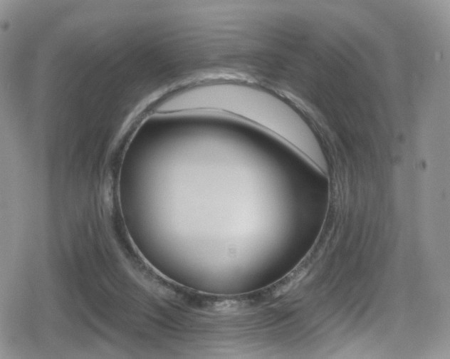 X0000080730064200612150913