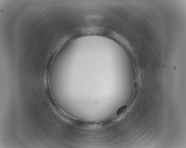 X0000080730065200612150914