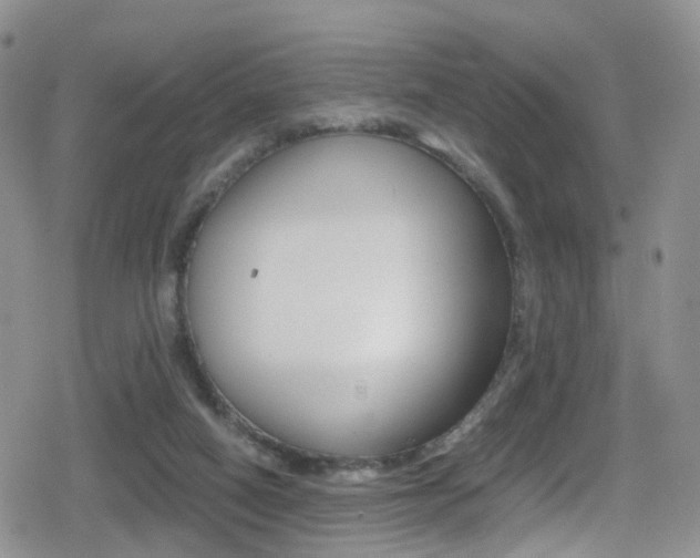 X0000080730066200612150914