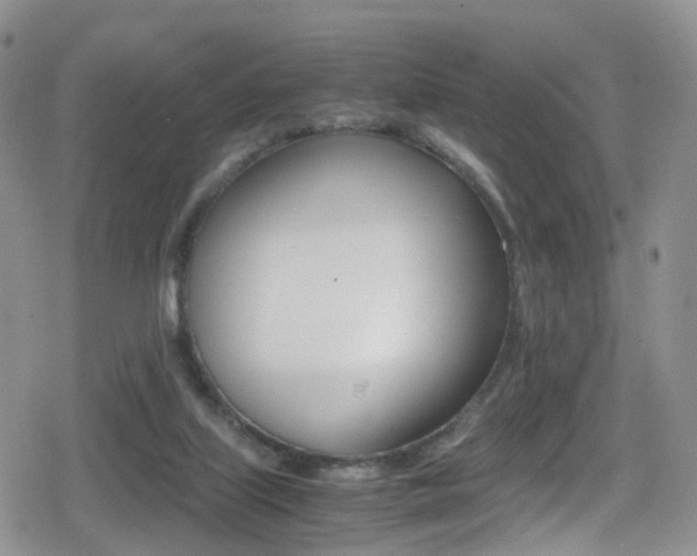 X0000080730067200612150914