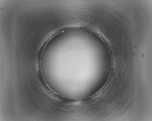 X0000080730068200612150914