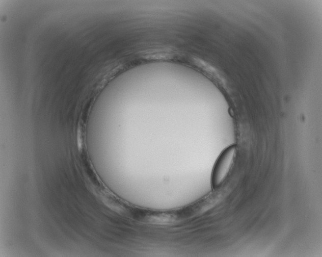 X0000080730069200612150914