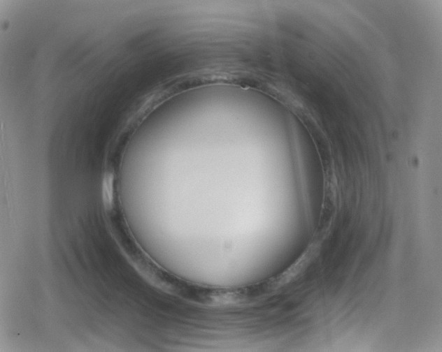 X0000080730070200612150914