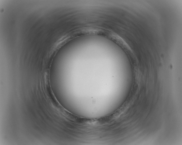 X0000080730071200612150914