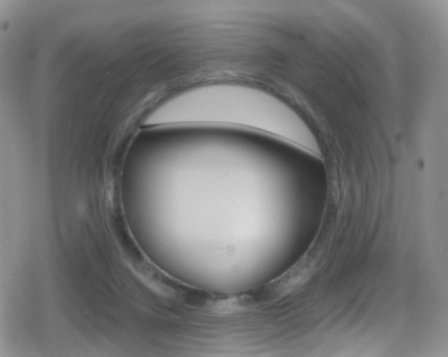 X0000080730072200612150914