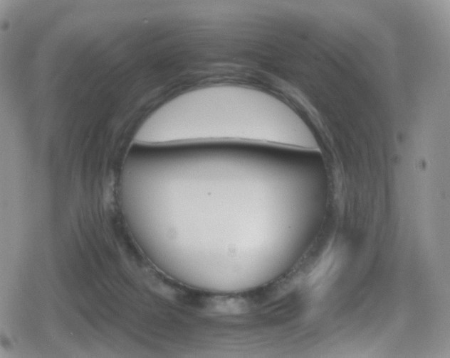 X0000080730073200612150914