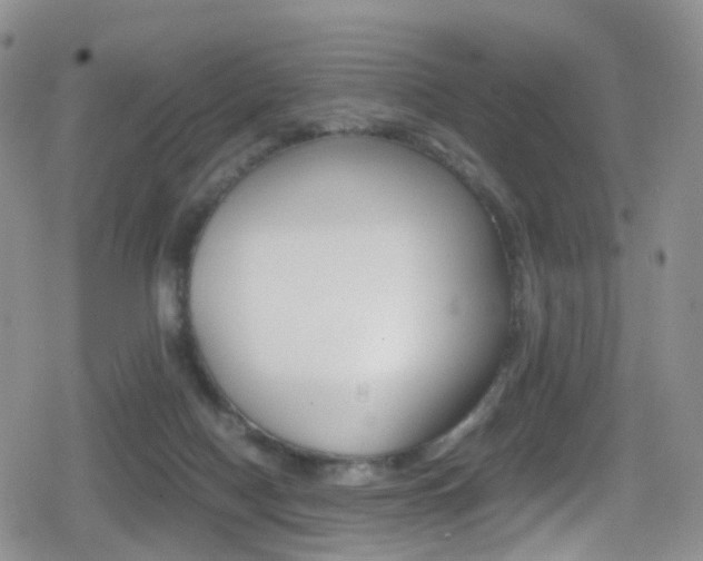 X0000080730074200612150914