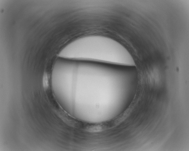 X0000080730075200612150914