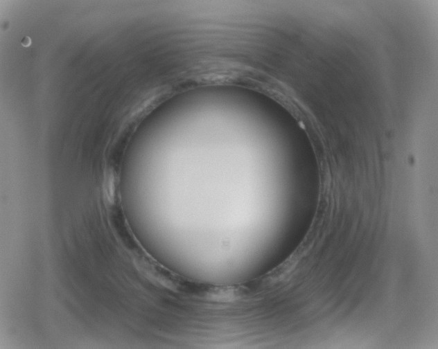 X0000080730076200612150914