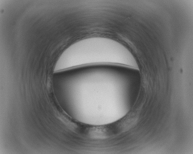 X0000080730077200612150914