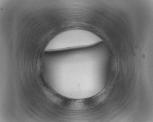 X0000080730078200612150914