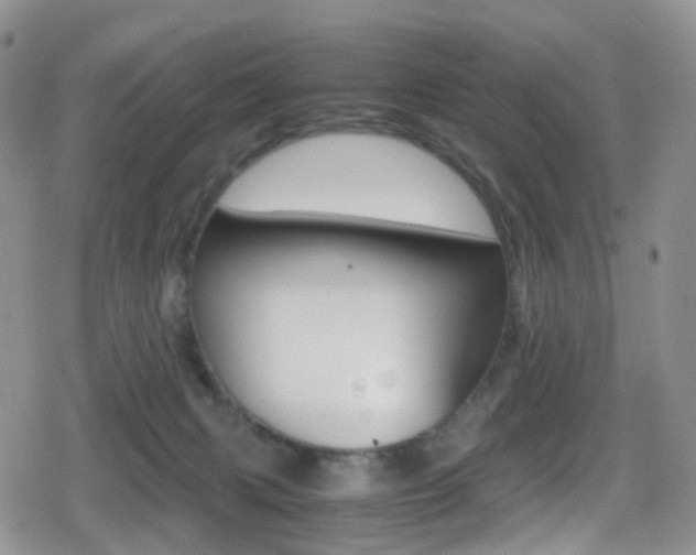 X0000080730079200612150914