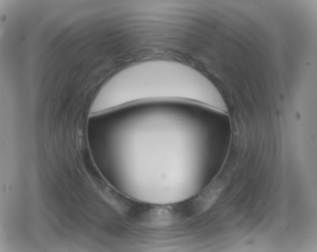 X0000080730080200612150914