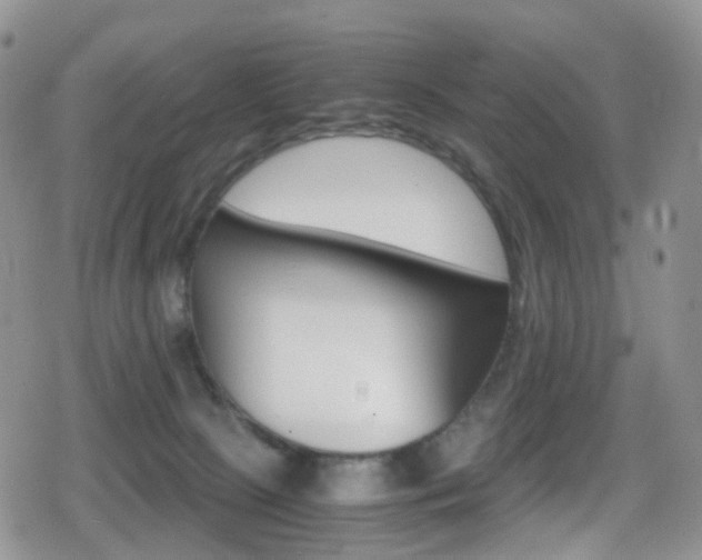 X0000080730081200612150914