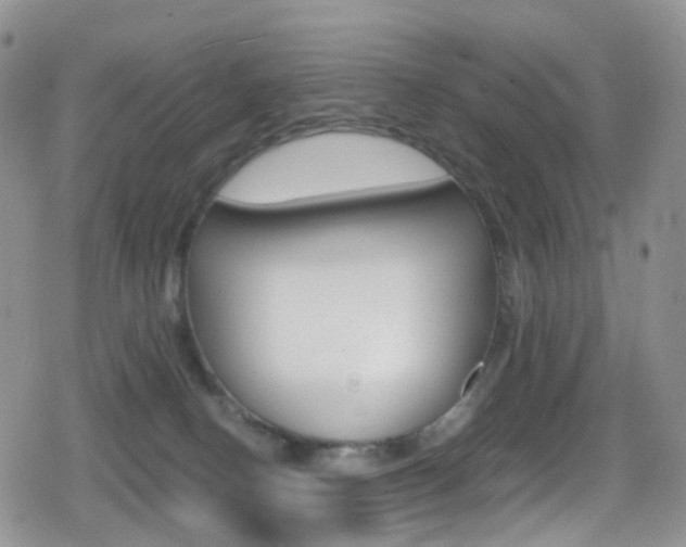 X0000080730082200612150914