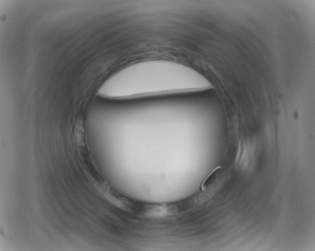 X0000080730083200612150914