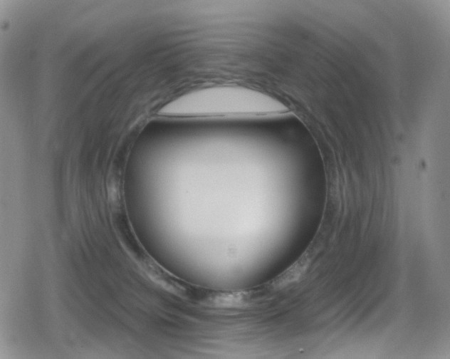 X0000080730084200612150914