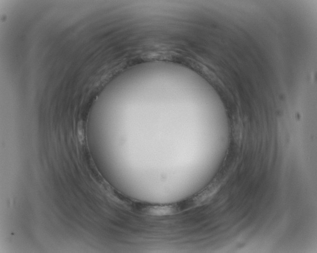 X0000080730085200612150914